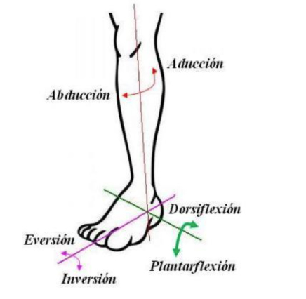 mecatronica02 Mecatrónica: robótica para la rehabilitación
