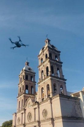 bosques01-1 Título: El uso de Drones para la conservación de los Bosques Mesófilos de Montaña en México.